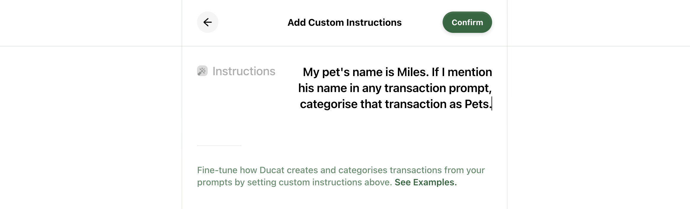 Adding custom instructions